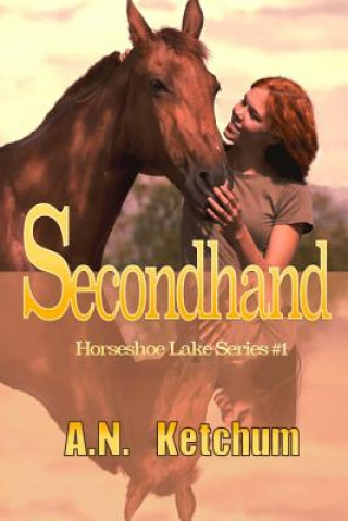 Knjiga Secondhand MS a N Ketchum