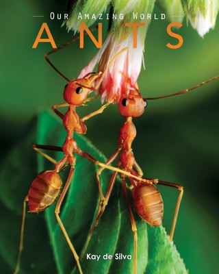 Könyv Ants: Amazing Pictures & Fun Facts on Animals in Nature Kay De Silva