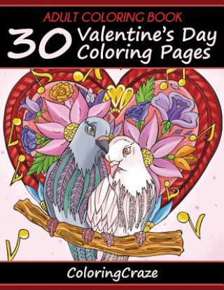 Książka Adult Coloring Book Adult Coloring Books Illustrators Allian