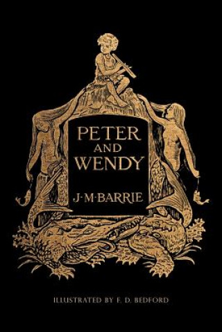 Kniha Peter and Wendy: Illustrated James Matthew Barrie