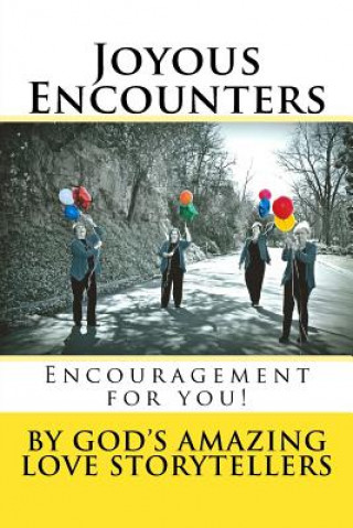 Boek Joyous Encounters God's Amazing Love Storytellers