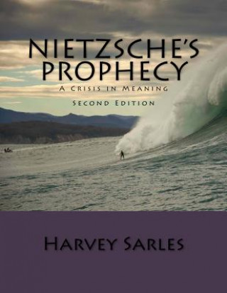 Kniha Nietzsche's Prophecy: A Crisis in Meaning Harvey Sarles