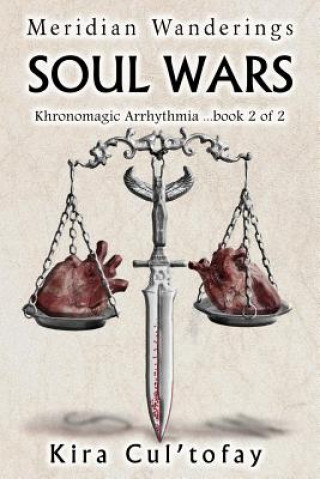 Buch Soul Wars Kira Larock