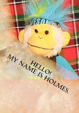 Kniha Hello! My Name is Holmes Mickey Wilcox