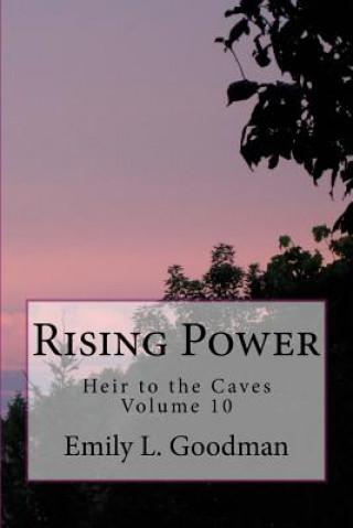 Book Rising Power Emily L Goodman