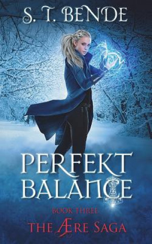 Buch Perfekt Balance S T Bende