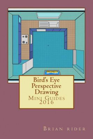 Книга Bird's Eye Perspective Drawing: Mini Guides 2016 Brian Rider