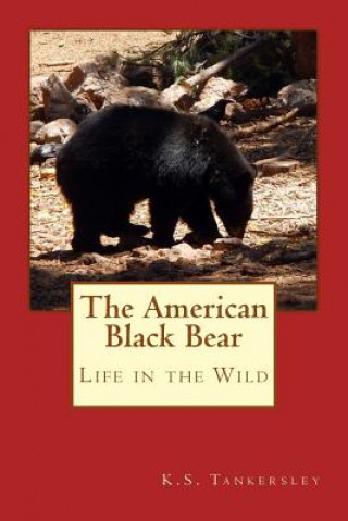 Carte American Black Bear K S Tankersley