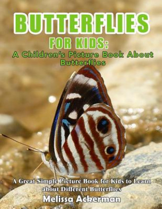 Könyv Butterflies For Kids: A Children's Picture Book About Butterflies: A Great Simple Picture Book for Kids to Learn about Different Butterflies Melissa Ackerman