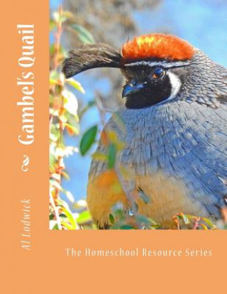 Carte Gambel's Quail: The Homeschool Resource Series Al Lodwick