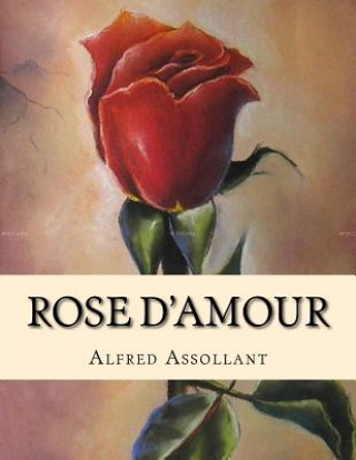 Book Rose d'Amour Alfred Assollant