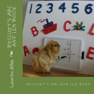 Książka Biscuit's ABC and 123 Book Lauren a Allee