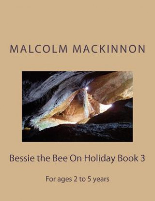 Książka Bessie the Bee On Holiday Book 3: For ages 2 to 5 years MR Malcolm MacKinnon