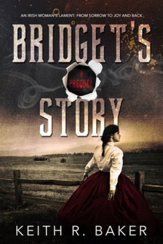 Knjiga Bridget's Story: An Irish Woman's Joy Keith R Baker