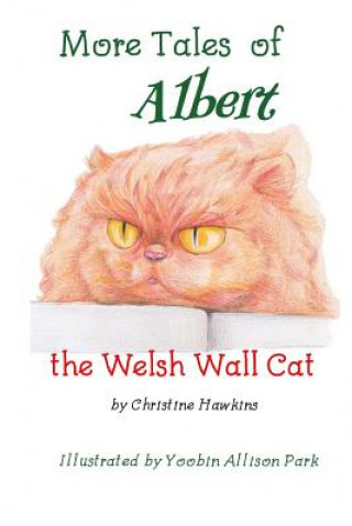 Könyv More Tales of Albert: the Welsh Wall Cat Christine Hawkins