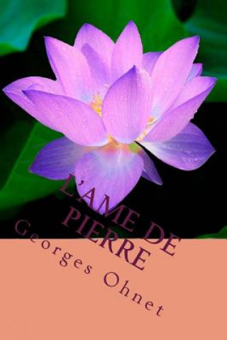 Buch L'ame de Pierre M Georges Ohnet