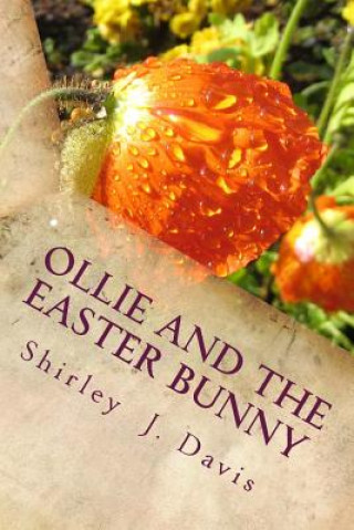 Książka Ollie and the Easter Bunny Shirley J Davis