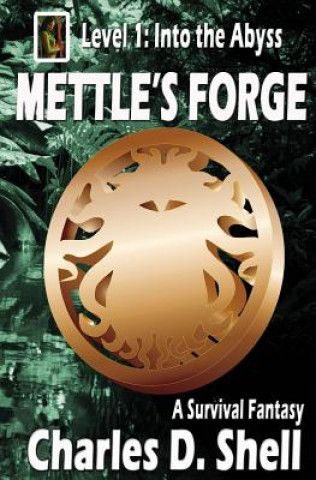 Könyv Mettle's Forge Level 1: Into the Abyss Charles D Shell