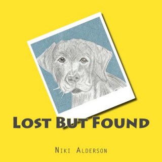 Knjiga Lost But Found Niki Alderson