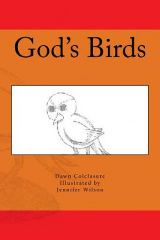 Книга God's Birds Dawn Colclasure