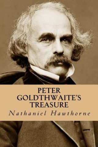 Book Peter Goldthwaite's Treasure Nathaniel Hawthorne