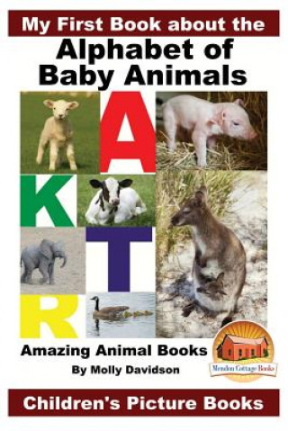 Kniha My First Book about the Alphabet of Baby Animals - Amazing Animal Books - Children's Picture Books Molly Davidson