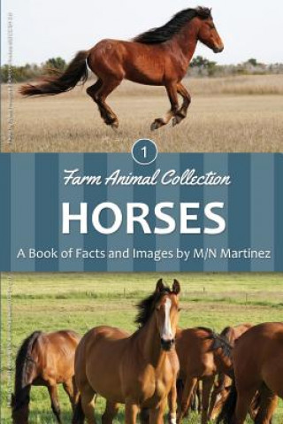 Buch Horses M/N Martinez