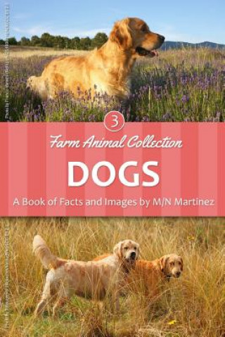 Libro Dogs M/N Martinez
