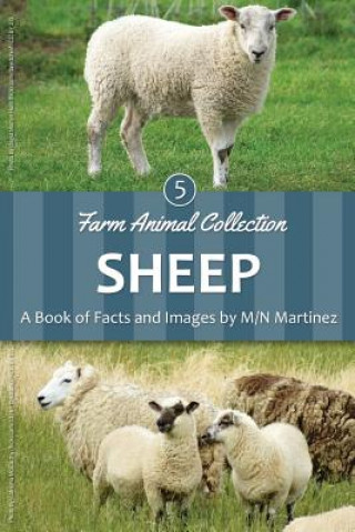 Βιβλίο Sheep M/N Martinez