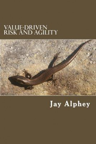 Книга Value-driven Risk and agility: Planning that delivers value in changing environments Jay Alphey