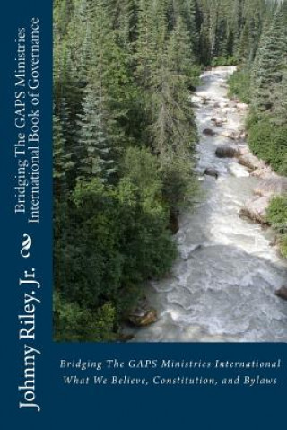 Kniha Bridging The GAPS Ministries International Book of Governance: What We Believe, Constitution, and Bylaws Johnny M Riley Jr