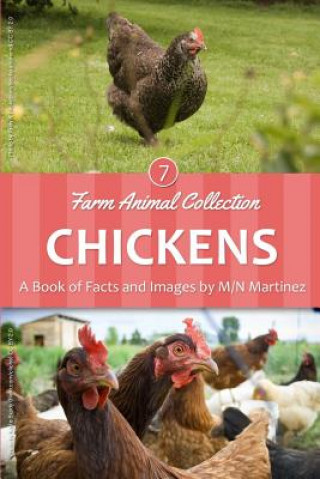 Könyv Chickens M/N Martinez