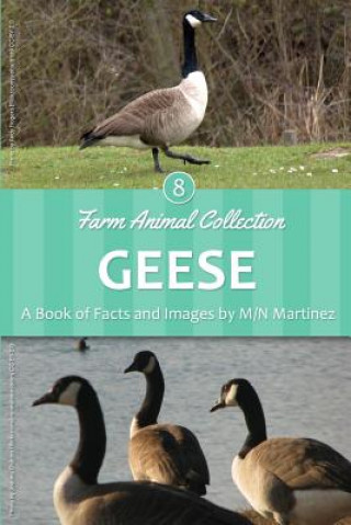 Kniha Geese M/N Martinez