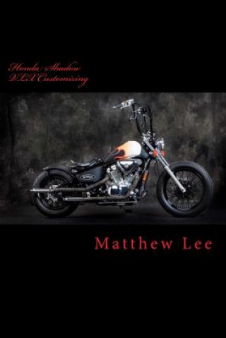 Carte Honda Shadow VLX Customizing MR Matthew J Lee