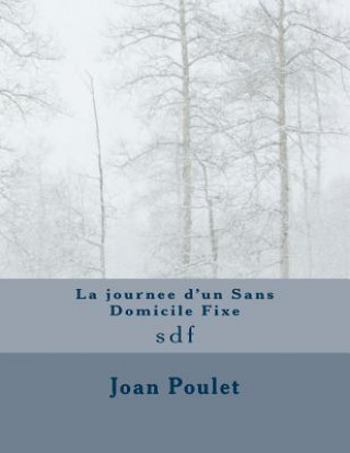 Könyv La journee d'un Sans Domicile Fixe: sdf Joan Poulet