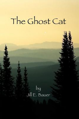 Book The Ghost Cat Jill E Bauer