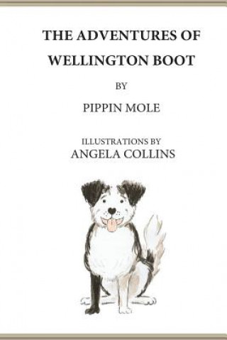 Carte The Adventures of Wellington Boot Pippin Mole