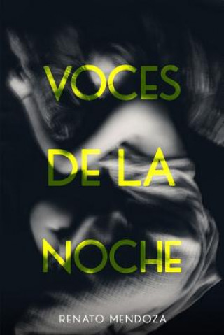 Book Voces de la Noche Renato Alonso Mendoza