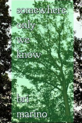 Libro somewhere only we know Bri Marino