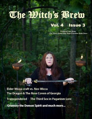 Kniha The Witch's Brew, Vol 4 Issue 3 Melissa E Anderson