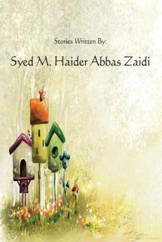 Książka Haider's Stories Syed M Haider