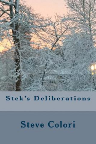 Kniha Stek's Deliberations Steve Colori