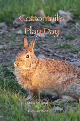 Kniha Cottontail's Play Day Therese Masters Jacobson