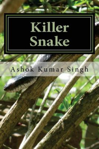 Knjiga Killer Snake Ashok Kumar Singh
