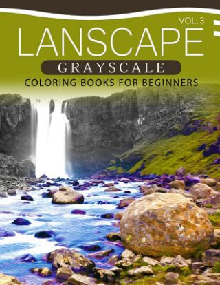 Carte Landscapes GRAYSCALE Coloring Books for Beginners Volume 3: A Grayscale Fantasy Coloring Book: Beginner's Edition Grayscale Pages Coloring