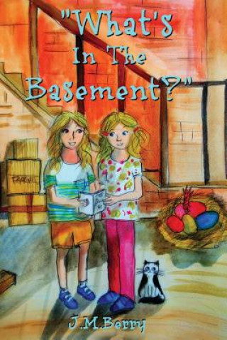 Kniha What's In The Basement J M Berry