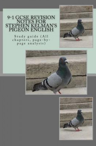 Könyv 9-1 GCSE REVISION NOTES for STEPHEN KELMAN'S PIGEON ENGLISH: Study guide (All chapters, page-by-page analysis) MR Joe Broadfoot