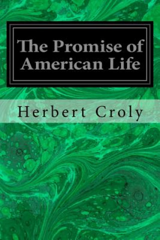 Könyv The Promise of American Life Herbert Croly