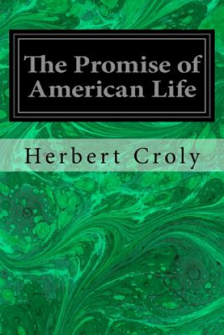 Buch The Promise of American Life Herbert Croly