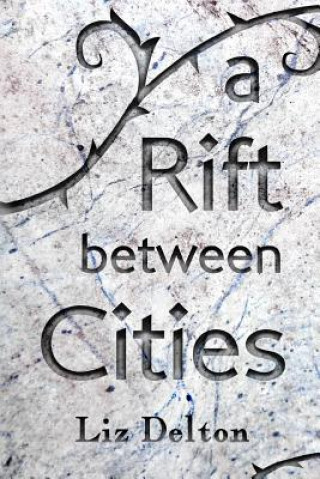 Book Rift Between Cities Liz Delton
